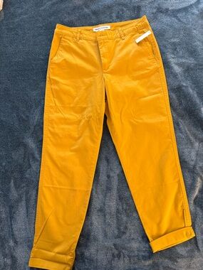 Women’s  Mustard Yellow Chino Pants